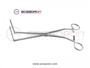 Glassman Anterior Resection Clamp 2.5cm Jaws Glassman Anterior Resection Clamp 2.5cm Jaws