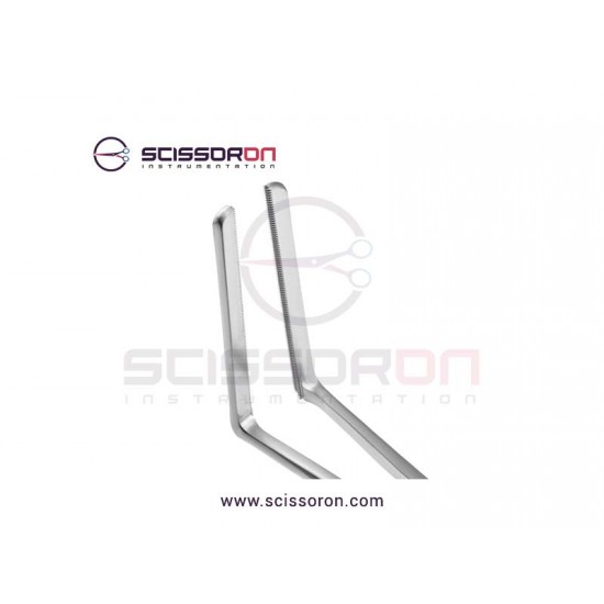 Glassman Anterior Resection Clamp 5.0cm Jaws