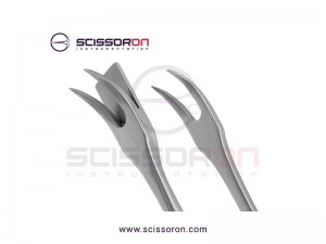 Lockwood Abdominal Demarcator Flap Large Forceps Lockwood Abdominal Demarcator Flap Large Forceps