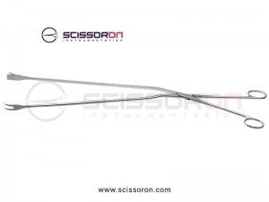 Lockwood Abdominal Demarcator Flap Large Forceps