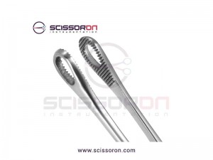 Bergmann-Foerster Sponge Forceps Straight Jaws Bergmann-Foerster Sponge Forceps Straight Jaws