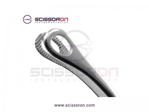 Bergmann-Foerster Sponge Forceps Curved Jaws Bergmann-Foerster Sponge Forceps Curved Jaws