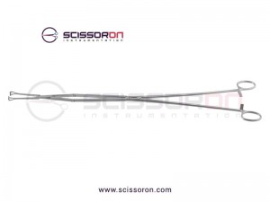 Babcock Tissue Holding Forceps Double Action