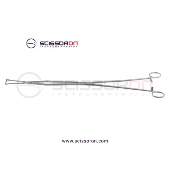 Babcock Tissue Holding Forceps Double Action