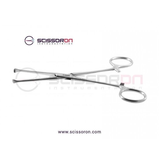 Allis-Baby Intestinal and Tissue Grasping Forceps 4x5 Toothed