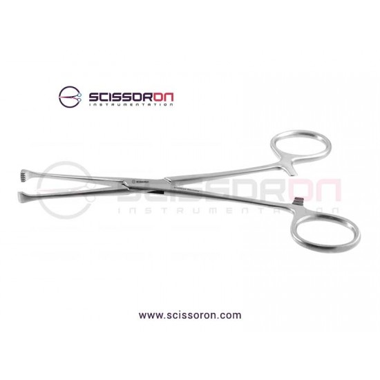 Allis Intestinal and Tissue Grasping Forceps 5x6 Toothed