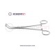 Allis-Coakley Tonsil Forceps Strongly Curved