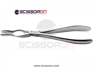 Septum Forceps