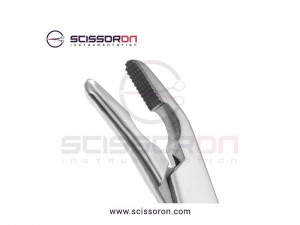 Gunter Lower Lateral Morselizer Gunter Lower Lateral Morselizer