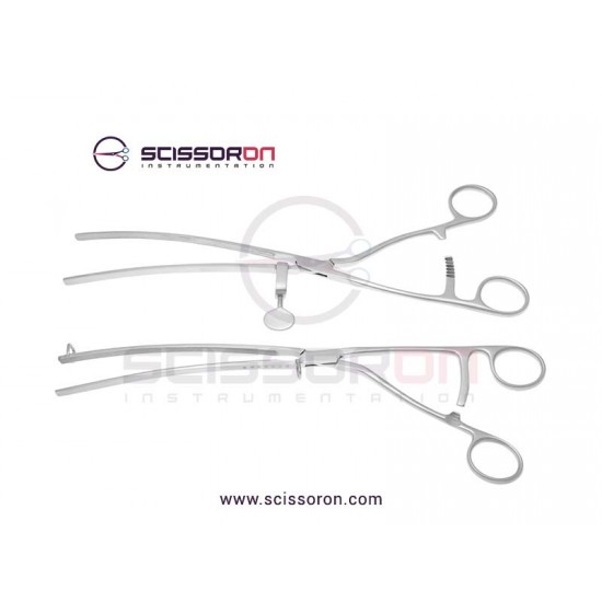 Lane Gastrointestinal Twin Forceps Curved
