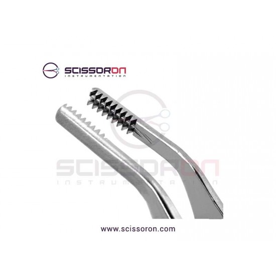 Brown-Adson Tissue Forceps Angled Jaws