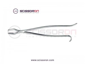 Lane Bone Holding Forceps without Ratchet Lane Bone Holding Forceps without Ratchet