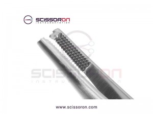 Lane Tissue Forceps 1x2 Teeth Plain Handle