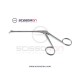 Blakesley Nasal Cutting Forceps Right Angled