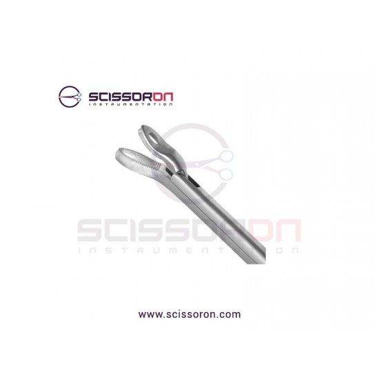 Blakesley Nasal Cutting Forceps Right Angled