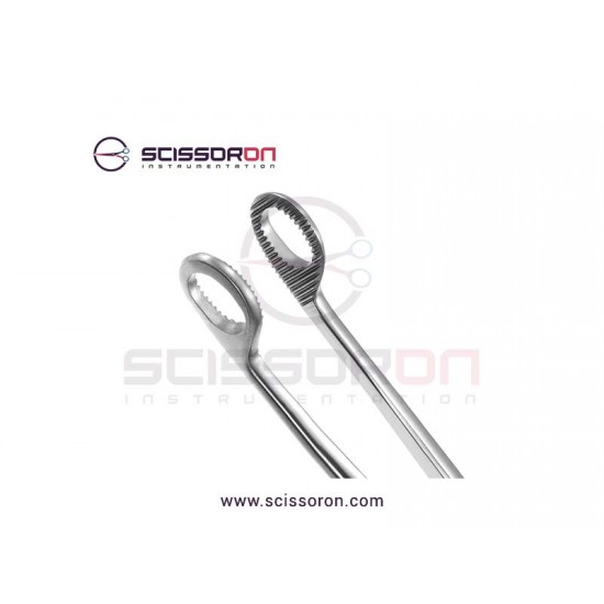 Magill Catheter Introducing Forceps Adult