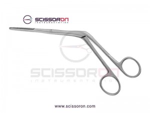 Tebbetts-Style Nasal Septum Forceps
