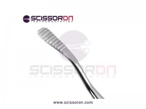 Miller Bone File #12A Miller Bone File #12A