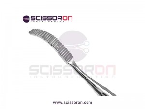 Miller Bone File #52 Miller Bone File #52