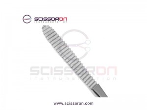 Brown Rasp Backward Cutting