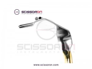 Tebbetts-Style Breast Retractor Toothed Blade End