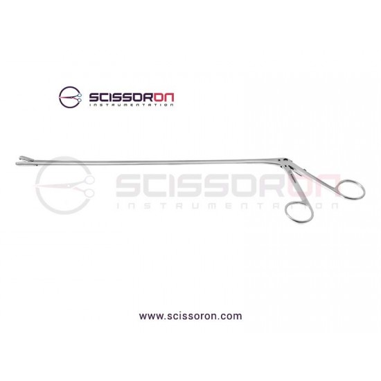 Patterson Specimen And Tissue Forceps