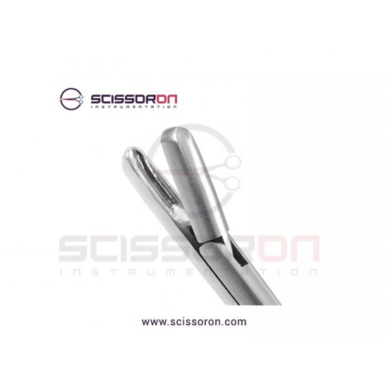 Patterson Specimen And Tissue Forceps