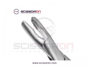 Stille-Luer Rat Tooth Rongeur