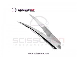 Brown Dissecting Heavy Shanks Scissor Curved Blades Brown Dissecting Heavy Shanks Scissor Curved Blades