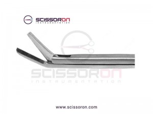House-Bellucci Alligator Scissor Angled Blades House-Bellucci Alligator Scissor Angled Blades