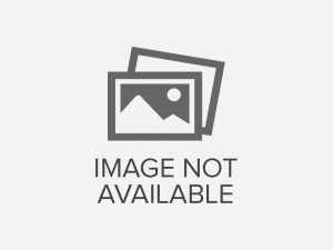 Adson Self-Retaining Retractor 5x6 Blunt Prongs Adson Self-Retaining Retractor 5x6 Blunt Prongs
