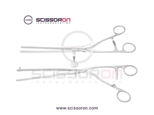 LANE-TWIN-1 LANE-TWIN-1