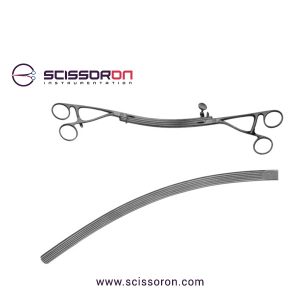 lane GASTRO INTESTINAL TWIN CLAMP 31cm-12inCurved02