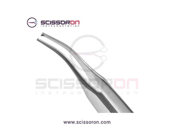 Stevens 1x2 Toothed Forceps_02