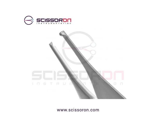 Adson Dissecting Forceps1x2Straight_02