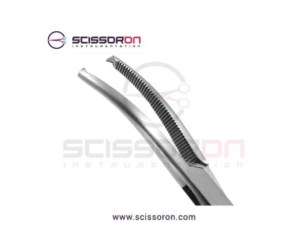 Adson hemostatic forcepsToothedCurved_02