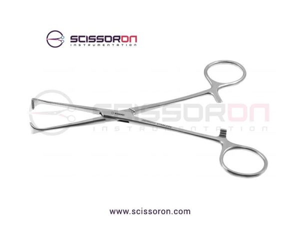 Allis-Adair tissue forcep_01