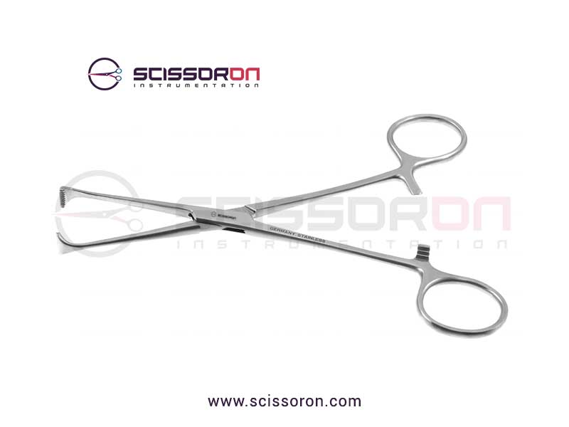 Allis-Adair tissue forcep_01