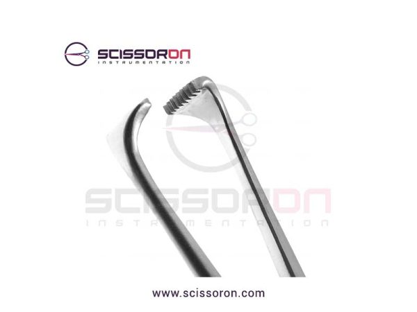 Allis-Adair tissue forcep_02