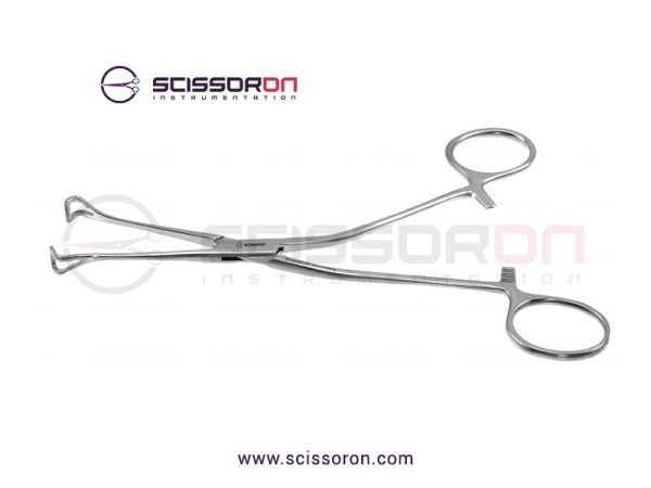 Allis-Babcock tissue forceps_01