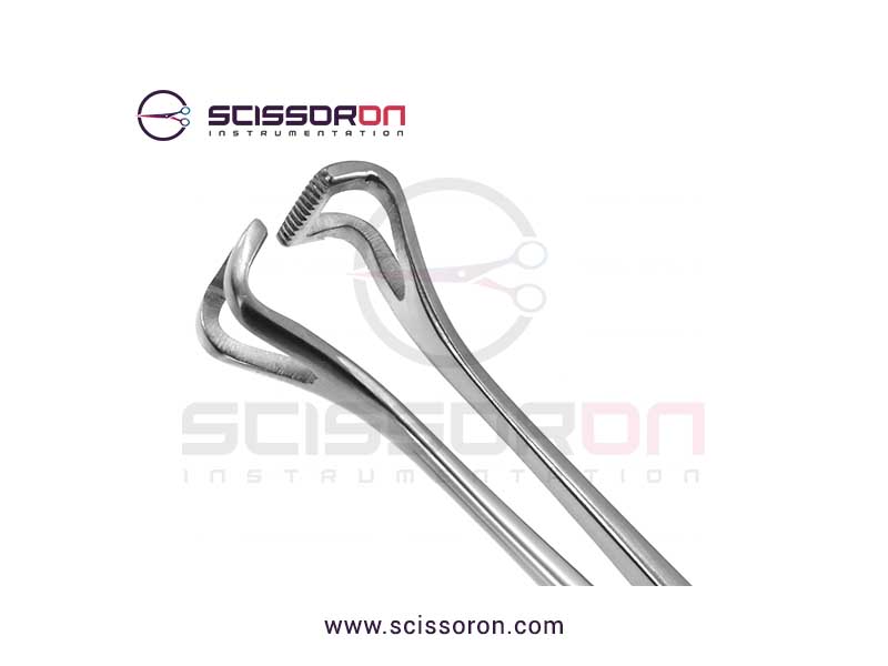 Allis-Babcock tissue forceps_02