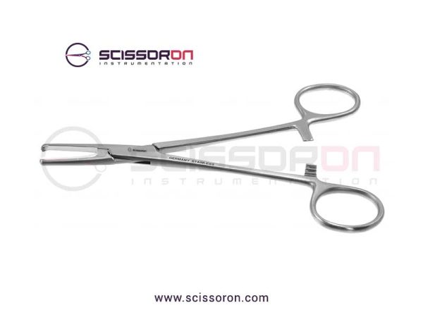 Allis-Judd tissue forcep_01