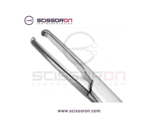 Allis-Judd tissue forcep_02