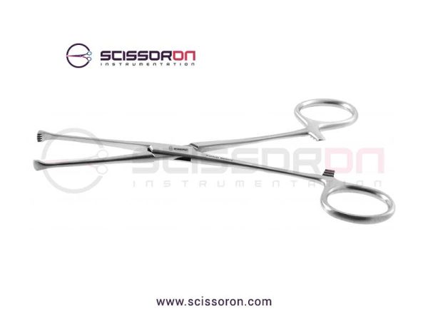 Allis tissue forceps_01