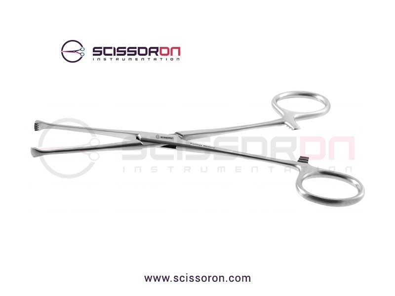 Allis tissue forceps_01