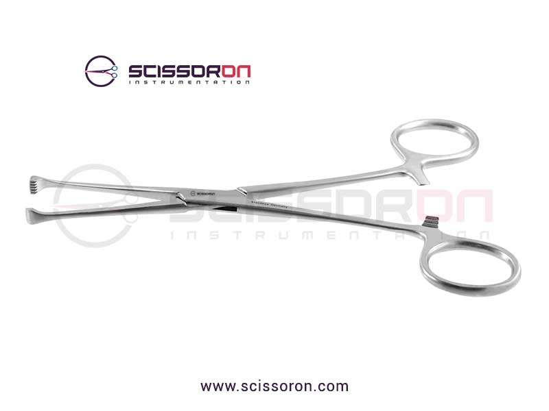 Allis tissue forceps-5x6-teeth-end-jaws-01