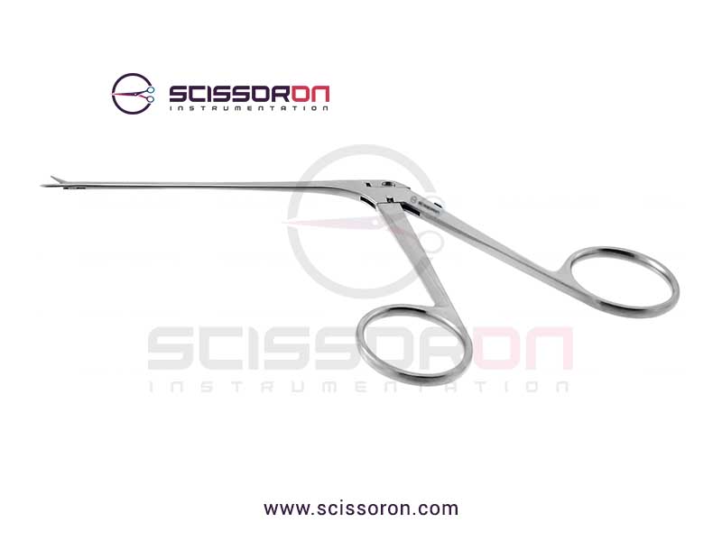 House-Bellucci alligator scissor Straight_01