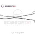 Kelly placenta forceps_01