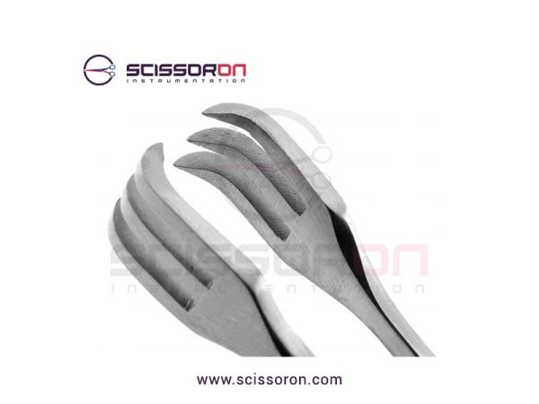 Lahey goiter vulsellum forceps_02