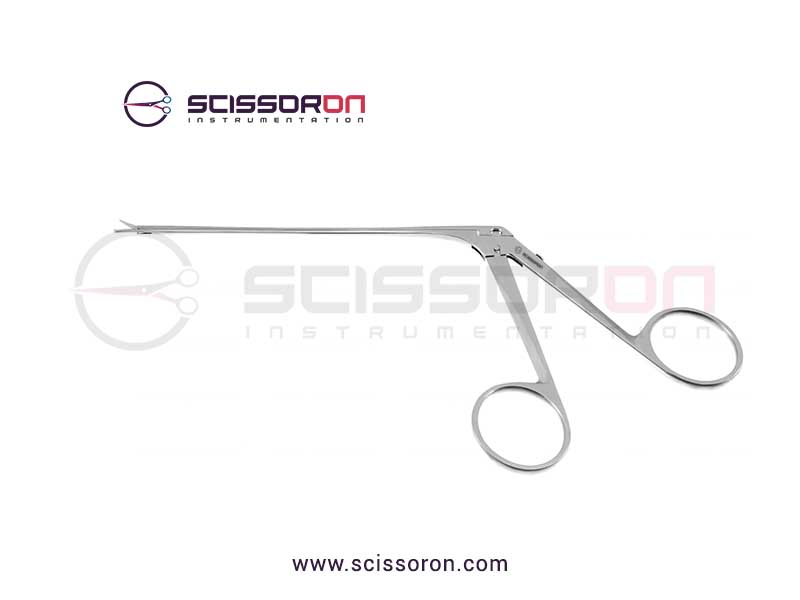 Luetje alligator scisso_01